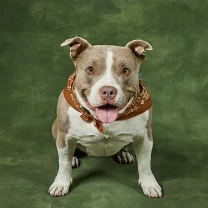 Welcome to my closet!